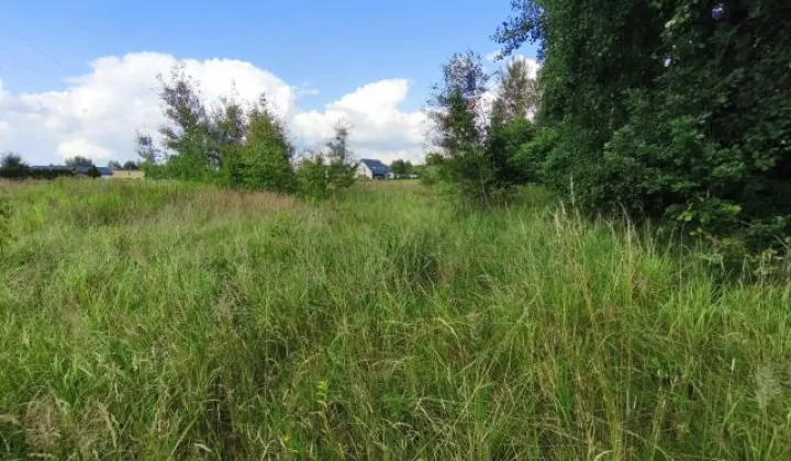 Działka budowlana Nieborowice, ul. Orzechowa