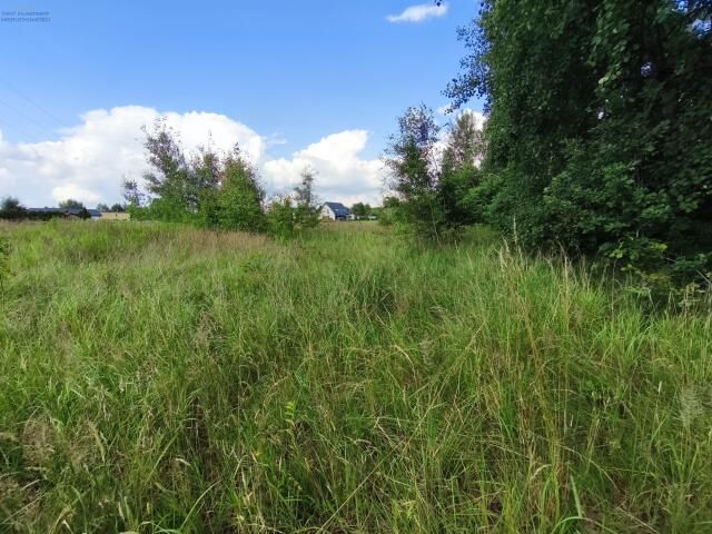 Działka budowlana Nieborowice, ul. Orzechowa. Zdjęcie 1