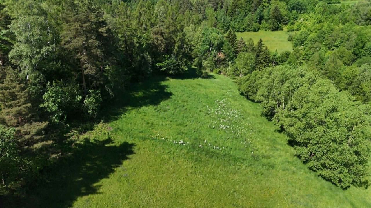 Działka rolno-budowlana Nawojowa, ul. Zamkowa. Zdjęcie 2