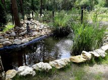 Działka rekreacyjna Poświętne. Zdjęcie 3