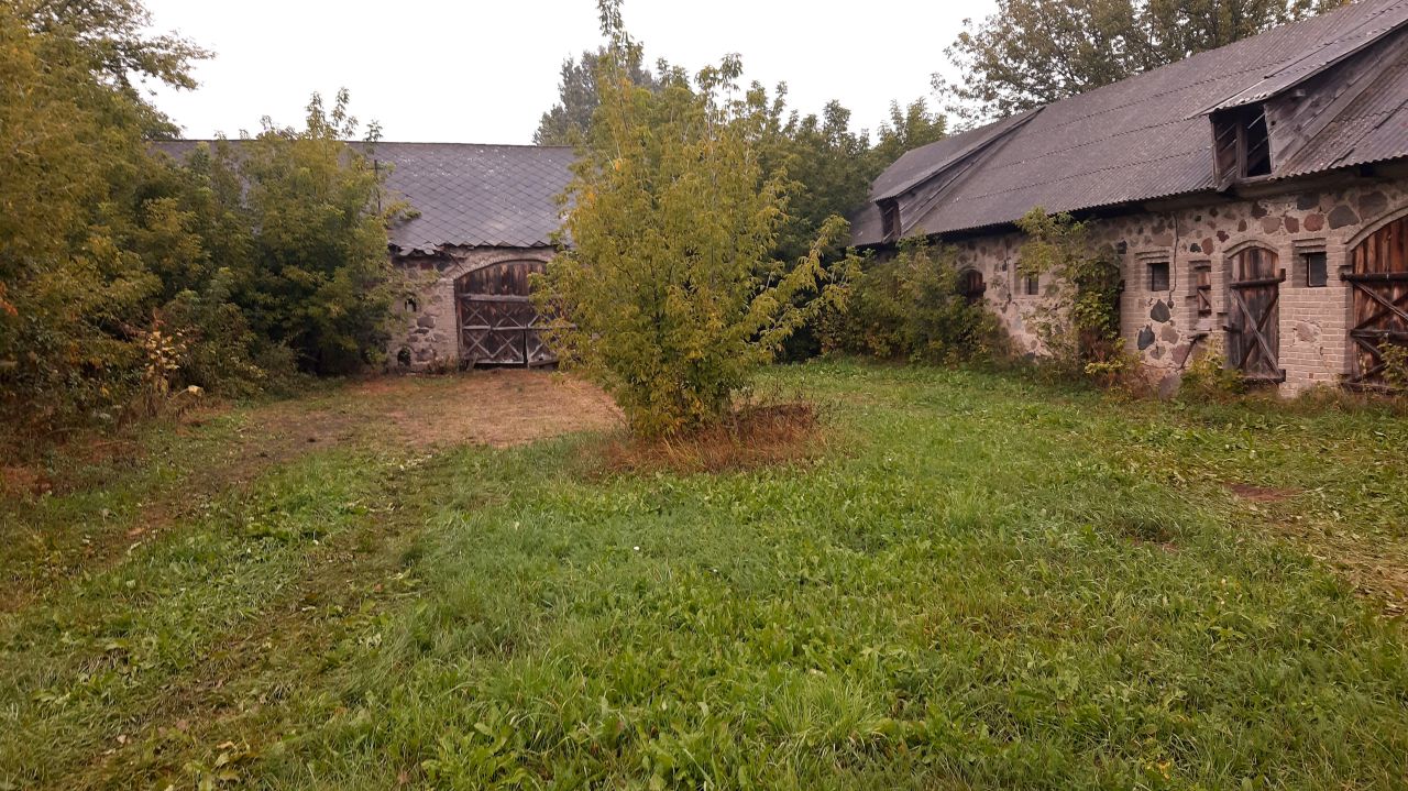 Działka siedliskowa Łoje-Awissa. Zdjęcie 3