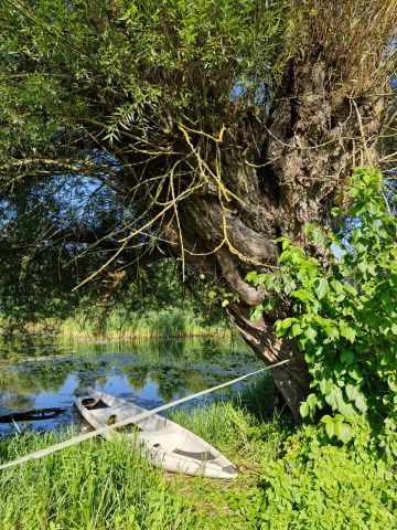 dom wolnostojący, 5 pokoi Kępa Polska. Zdjęcie 7