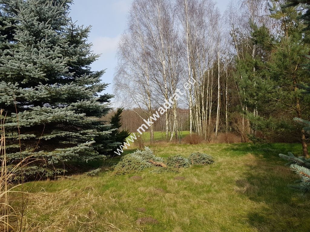 Działka Budy Wolskie. Zdjęcie 7