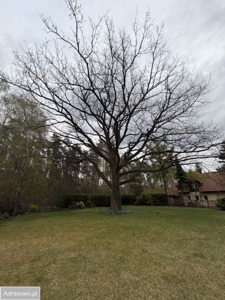 dom wolnostojący, 5 pokoi Krzywiec, ul. Gościnna. Zdjęcie 19