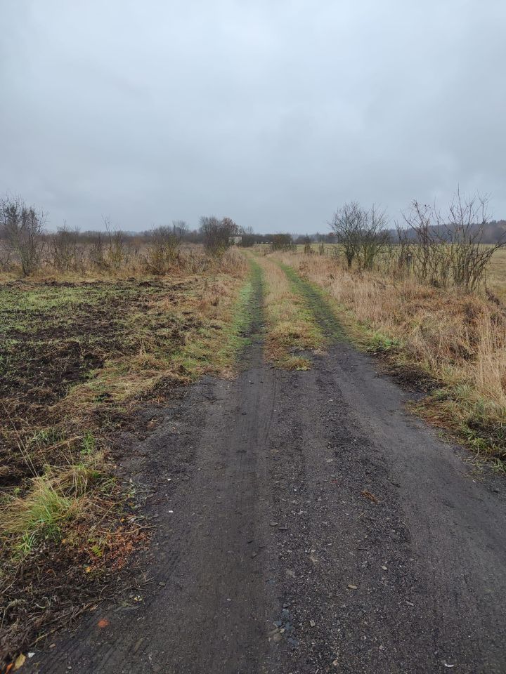 Działka rolna Lewkowo Stare. Zdjęcie 6