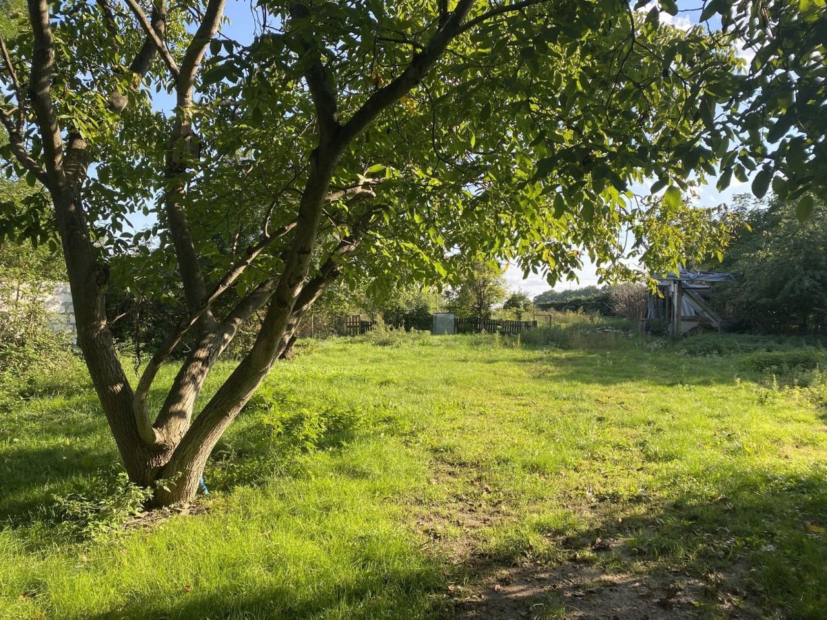 Działka budowlana Rzeplin, ul. Bzowa. Zdjęcie 2