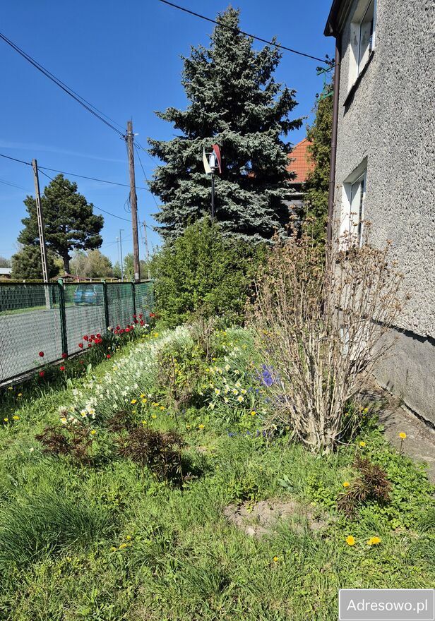 dom wolnostojący, 5 pokoi Racibórz, ul. Cecylii. Zdjęcie 3