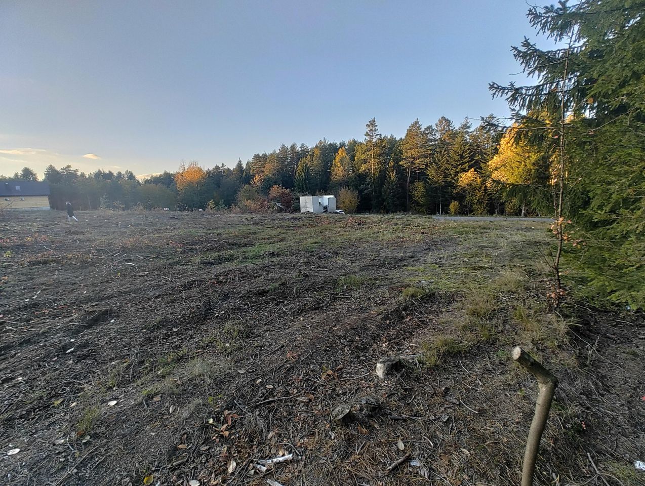Działka budowlana Ciotusza Nowa Kolonia, Kędrawka. Zdjęcie 5