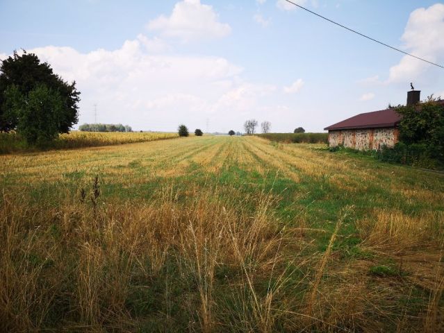 Działka rolno-budowlana Pałczew. Zdjęcie 1