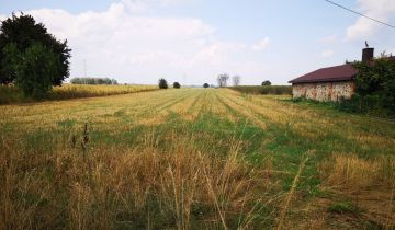 Działka rolno-budowlana Pałczew