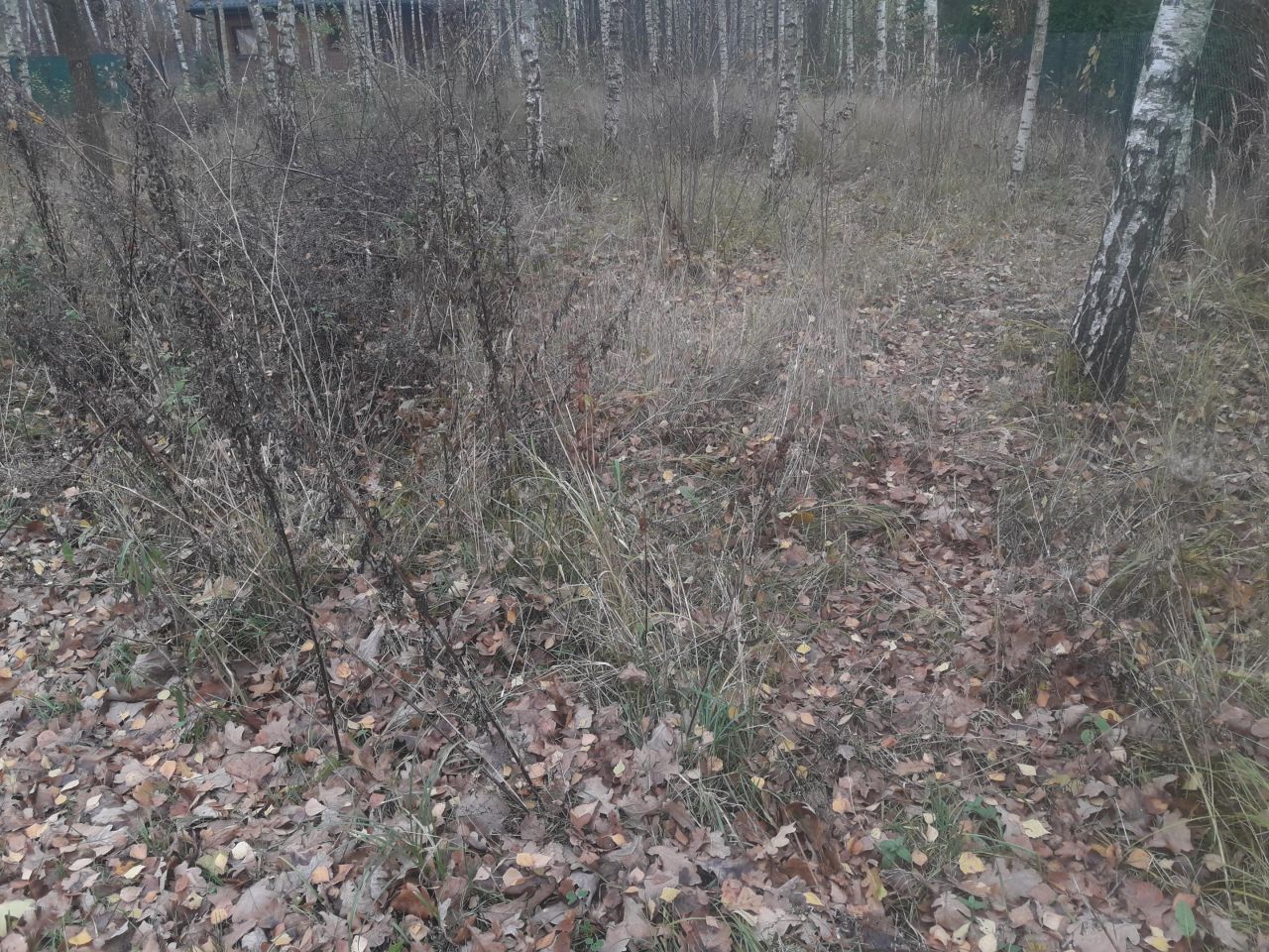 Działka budowlana Stare Załucze. Zdjęcie 8