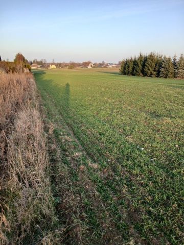 Działka budowlana Franciszków. Zdjęcie 1