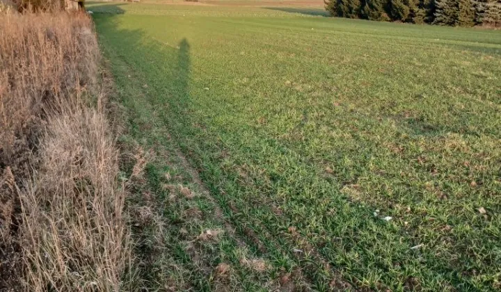 Działka budowlana Franciszków