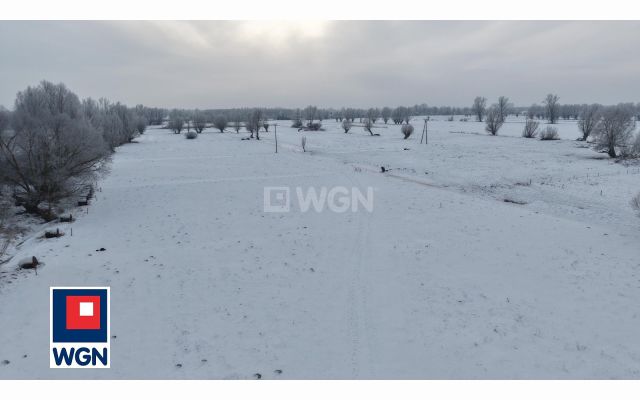 Działka rolna Markusy. Zdjęcie 13