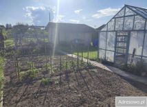 Działka rod Nysa, ul. Adama Mickiewicza. Zdjęcie 4