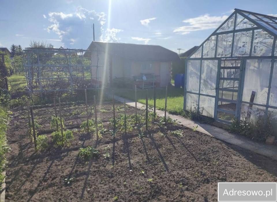 Działka rod Nysa, ul. Adama Mickiewicza. Zdjęcie 5