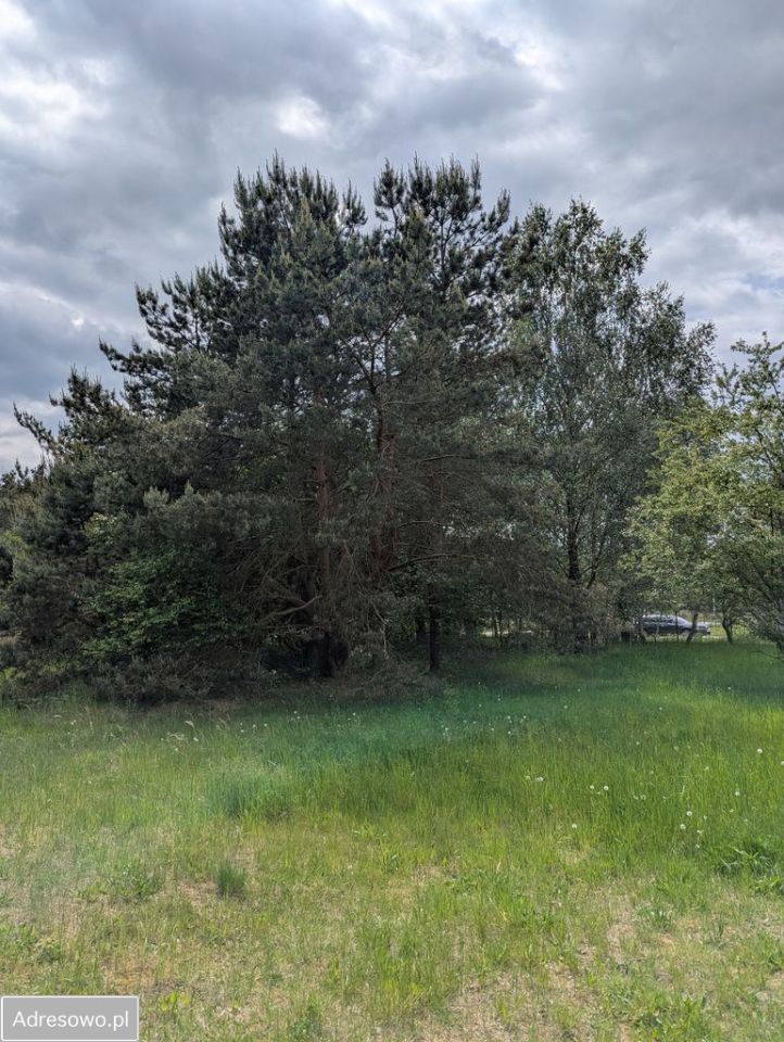 Działka budowlana Sieraków, ul. Dębowa. Zdjęcie 11