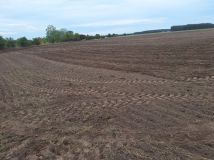 Działka rolna Wilków. Zdjęcie 2