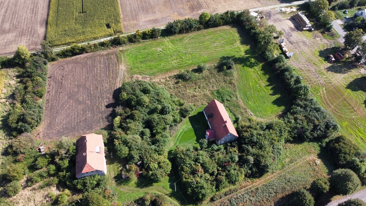 Działka budowlana Jaksin. Zdjęcie 4