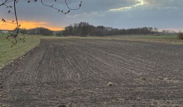 Działka rolno-budowlana Pukinin