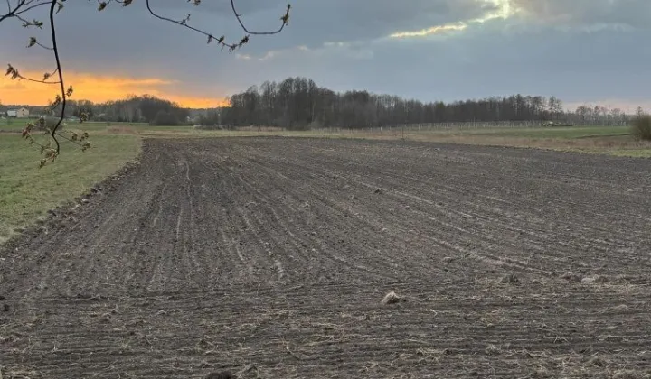 Działka rolno-budowlana Pukinin