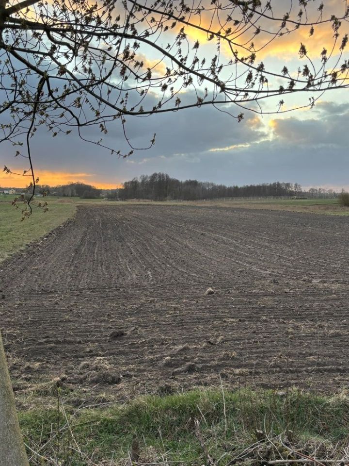 Działka rolno-budowlana Pukinin