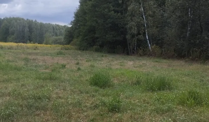 Działka budowlana Okuniew