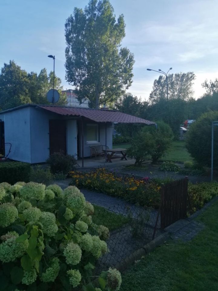 Działka rod Zgierz. Zdjęcie 3