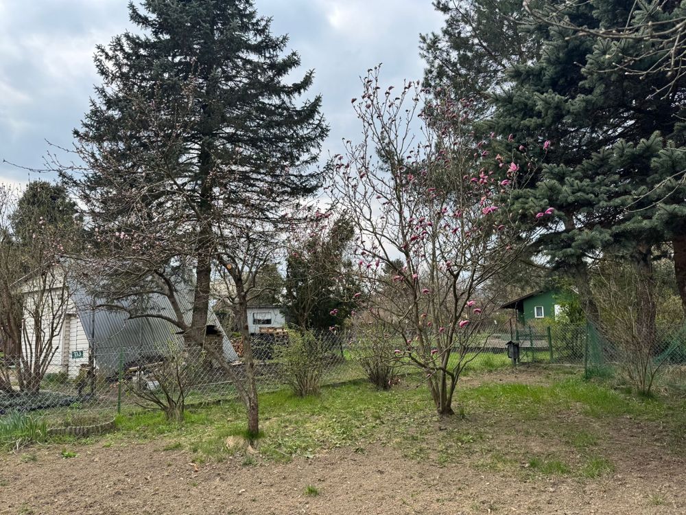 Działka rod Kraków Zwierzyniec, ul. Księcia Józefa. Zdjęcie 7