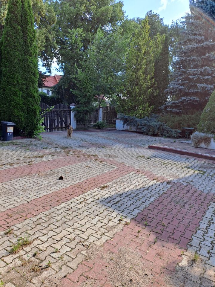 dom wolnostojący, 5 pokoi Bartosze. Zdjęcie 10