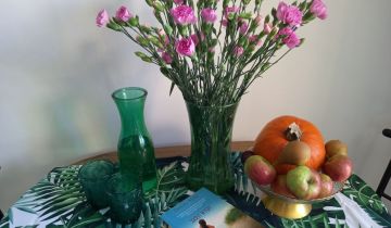 Mieszkanie 1-pokojowe Wałbrzych Piaskowa Góra, ul. Piotra Michałowskiego