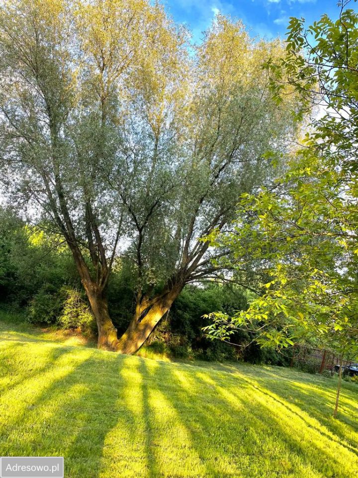 Działka inwestycyjna Grabce-Towarzystwo, ul. Główna. Zdjęcie 2