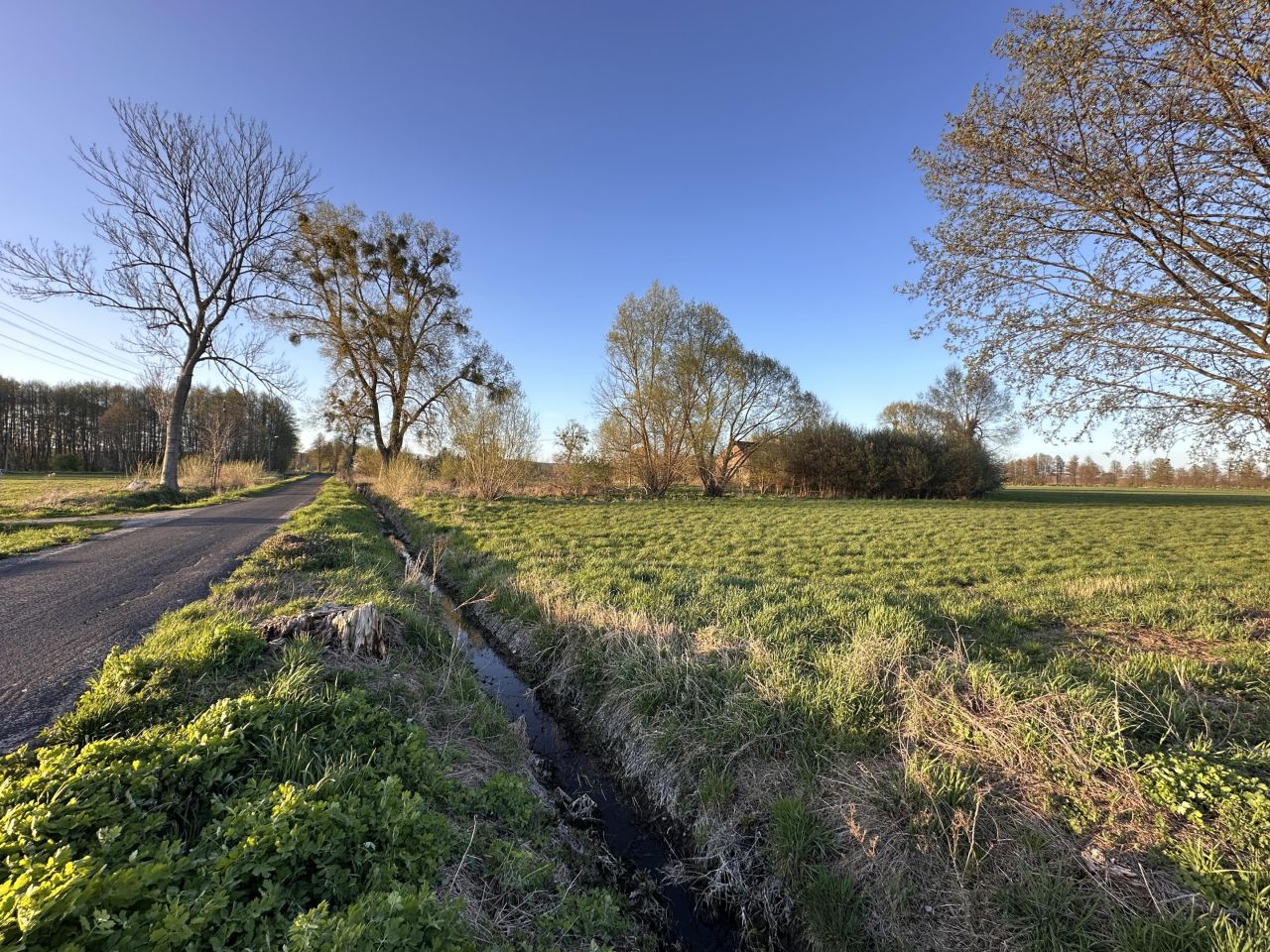 Działka budowlana Łącznica. Zdjęcie 1