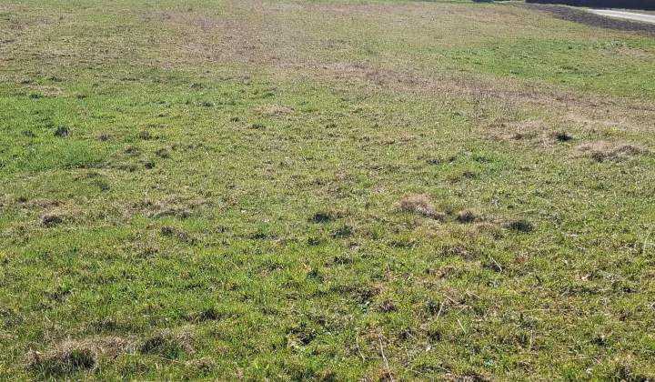 Działka budowlana Szymbark