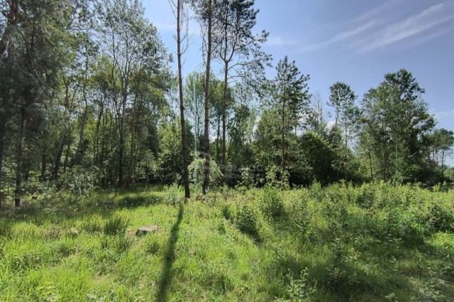 Działka rekreacyjna Wytyczno. Zdjęcie 1