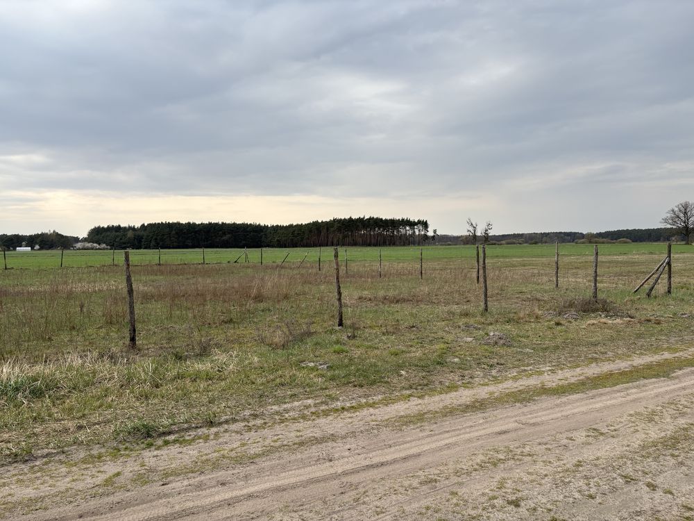 Działka budowlana Sulęcinek, ul. Lipowa. Zdjęcie 2