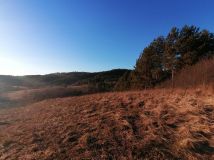 Działka rekreacyjna Rybotycze. Zdjęcie 4