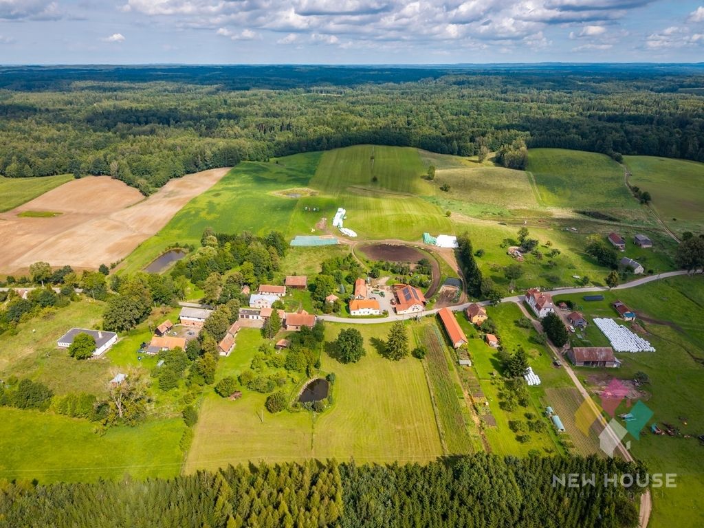 siedlisko, 9 pokoi Jurkowo. Zdjęcie 13