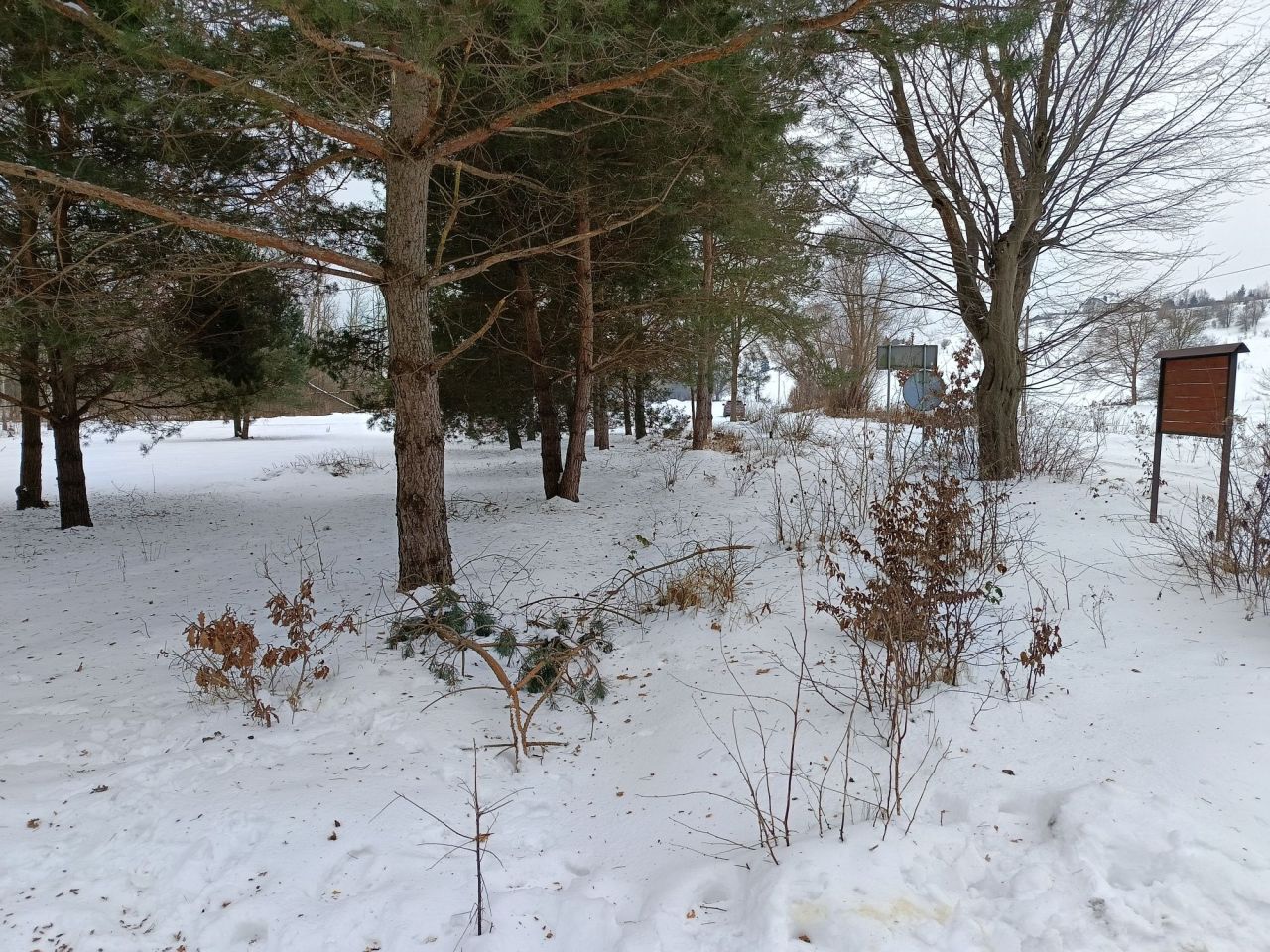 Działka budowlana Szramowo. Zdjęcie 2