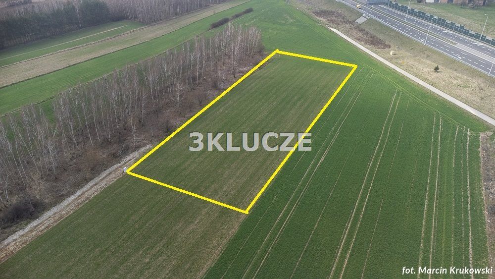 Działka rolna Dąbrowica. Zdjęcie 3