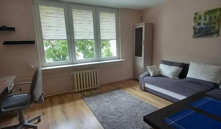 Mieszkanie 1-pokojowe Puławy, ul. Juliana Ursyna Niemcewicza