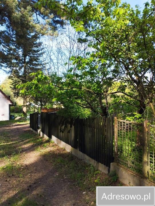 Działka rod Zielona Góra Jędrzychów, ul. Podwójna. Zdjęcie 8