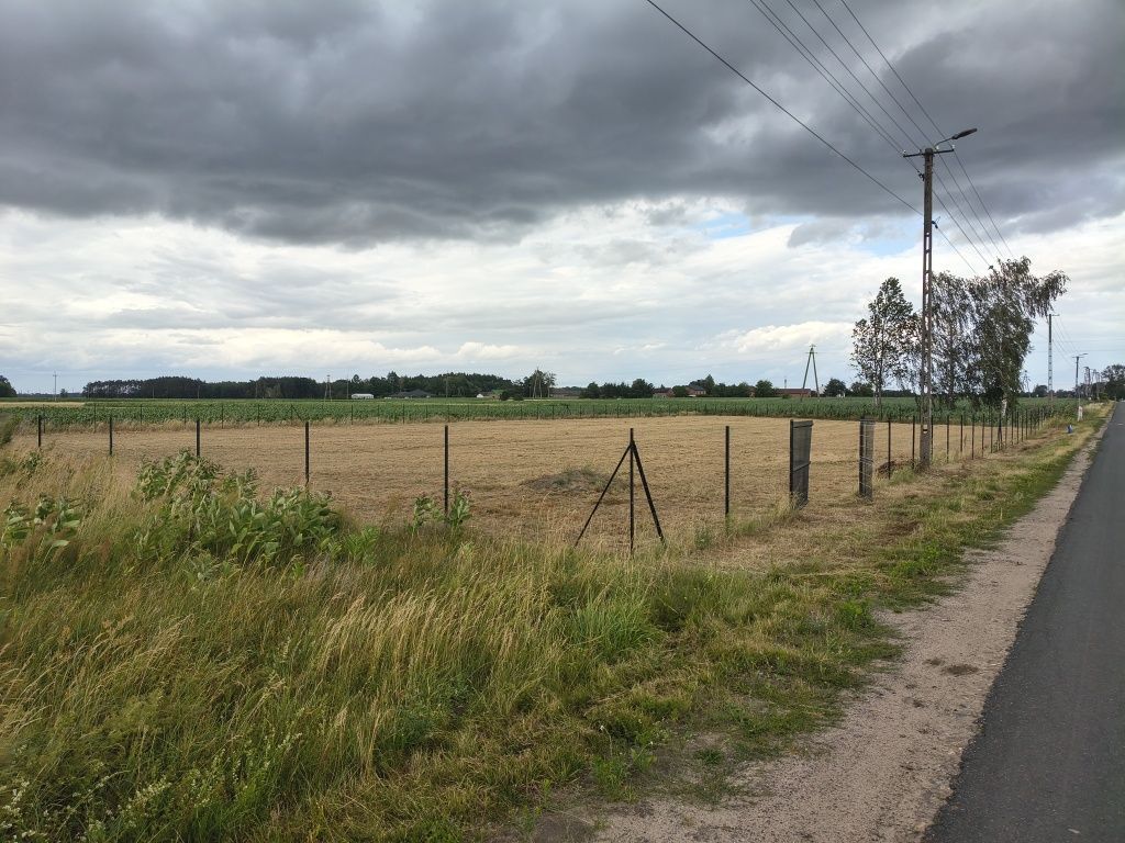 Działka rolno-budowlana Skaratki. Zdjęcie 2