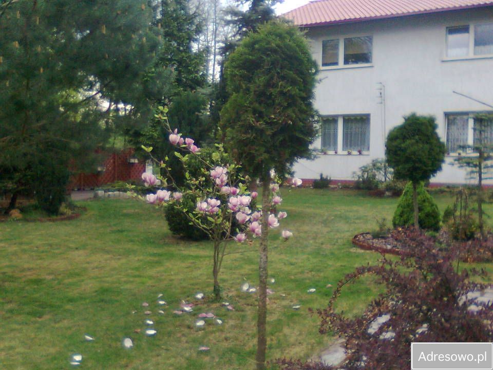 dom wolnostojący, 8 pokoi Goleniów, ul. Wojska Polskiego. Zdjęcie 10