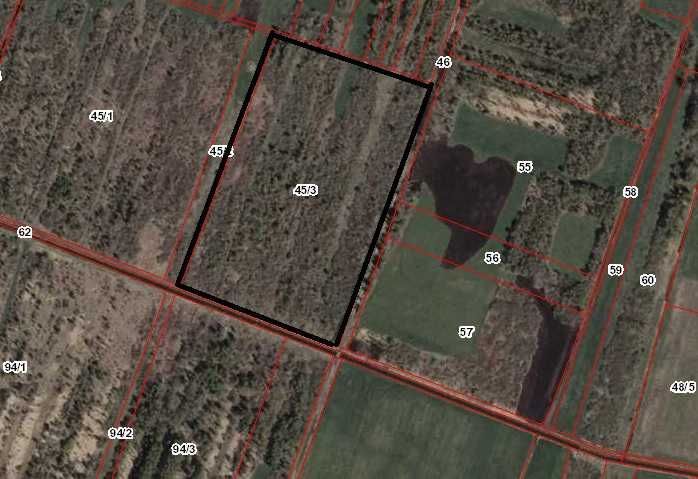 Działka rolna Zawidz Kościelny. Zdjęcie 1