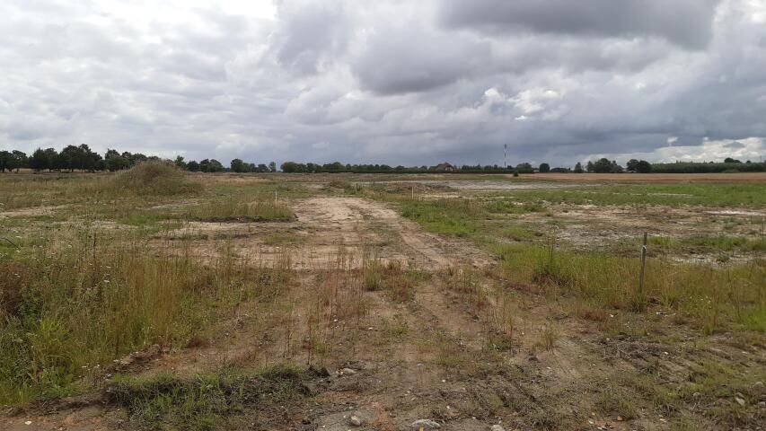 Działka budowlana Czernin. Zdjęcie 5