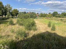 Działka budowlana Pokrzywnica. Zdjęcie 4