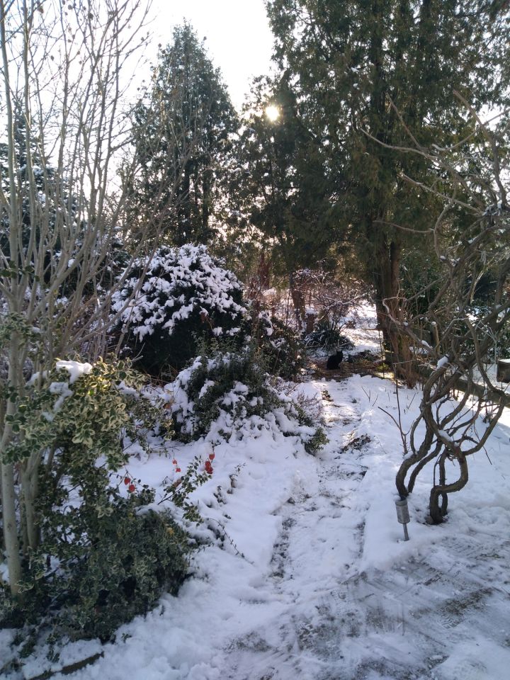 dom wolnostojący, 5 pokoi Janówka. Zdjęcie 9