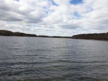 dom wolnostojący Jesiona Jesionka. Zdjęcie 4