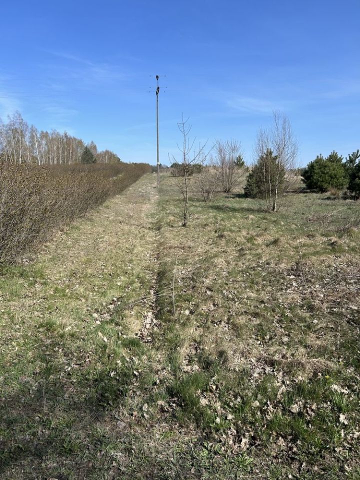 Działka budowlana Płyćwia. Zdjęcie 3